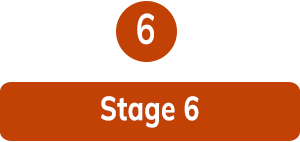 Stage 6: Deploy