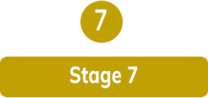 Stage 7: Optimize