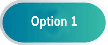 Option 1